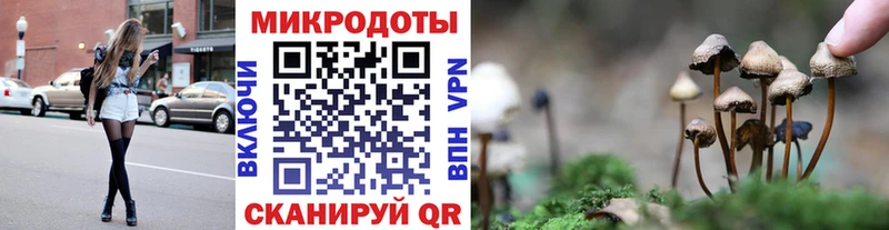 купить наркотики сайты  Углегорск  сайты даркнета какой сайт  Псилоцибиновые грибы Psilocybe 